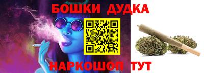 прущие крисы Обь