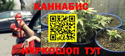 прущие крисы Обь
