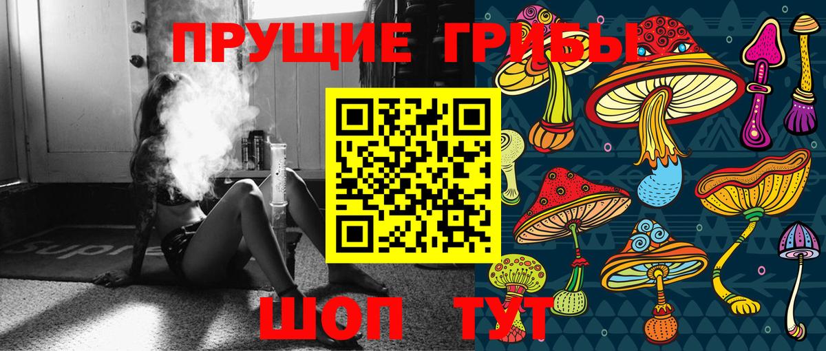 Симферополь  закладка  Вход с VPN  Псилоцибиновые грибы Psilocybe 