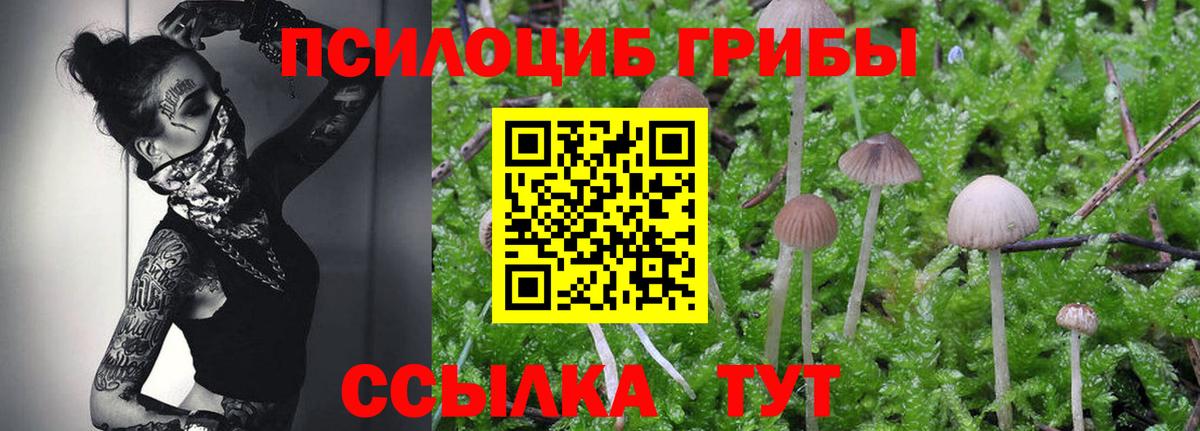 Галлюциногенные грибы Psilocybe Симферополь